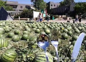 天津美院吃瓜爆料,揭秘校园风云背后的真相